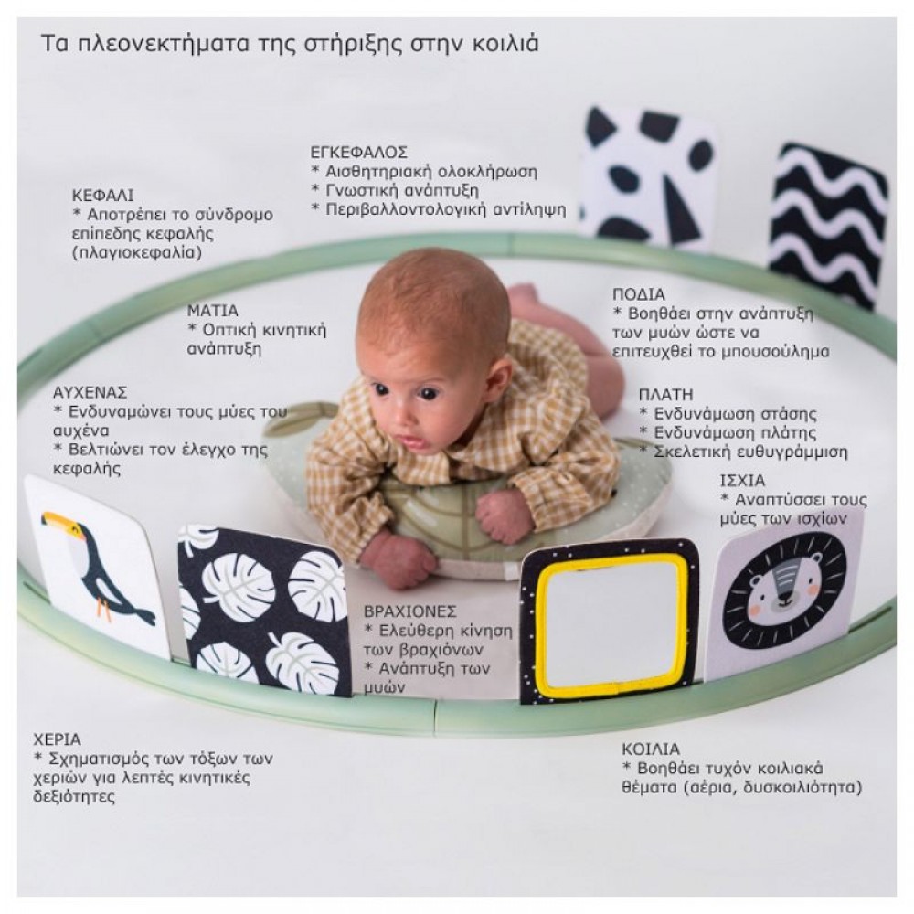 Κέντρο Δραστηριοτήτων Taf Toys Tummy Time Trainer