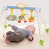 Γυμναστήριο Taf Toys Take-to-Play Baby