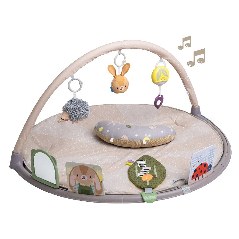 Γυμναστήριο Δραστηριοτήτων Taf Toys Tummy Time Activity Gym