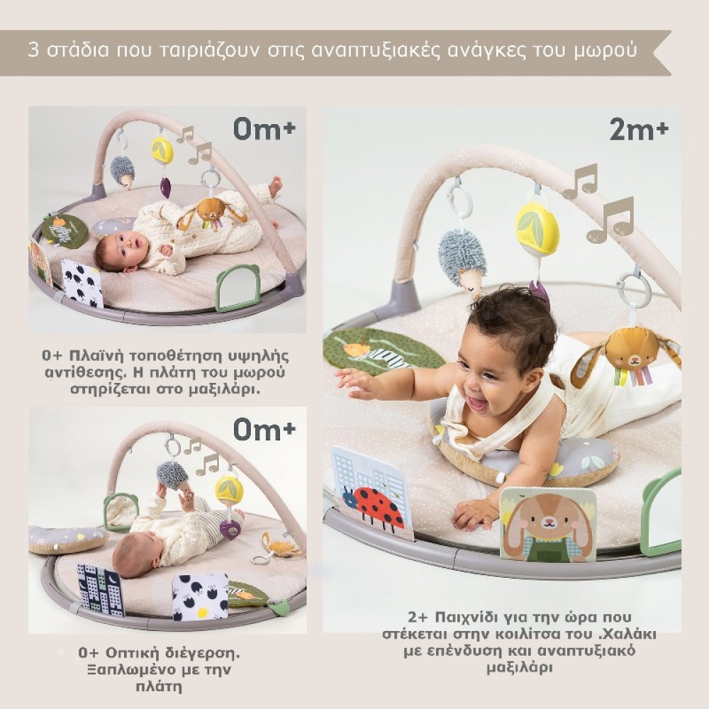 Γυμναστήριο Δραστηριοτήτων Taf Toys Tummy Time Activity Gym