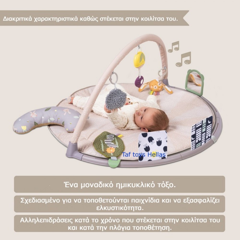 Γυμναστήριο Δραστηριοτήτων Taf Toys Tummy Time Activity Gym