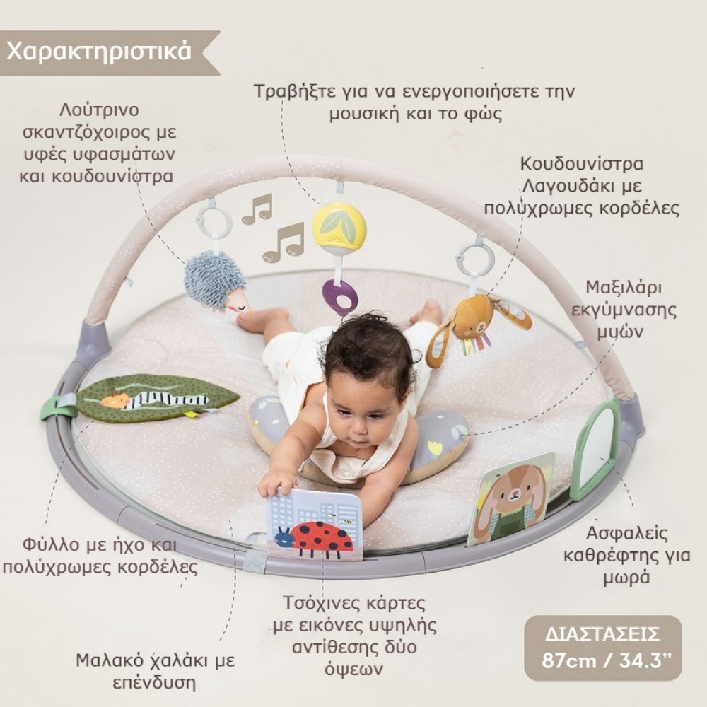 Γυμναστήριο Δραστηριοτήτων Taf Toys Tummy Time Activity Gym