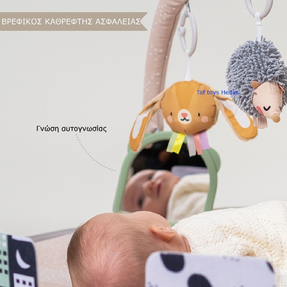 Γυμναστήριο Δραστηριοτήτων Taf Toys Tummy Time Activity Gym